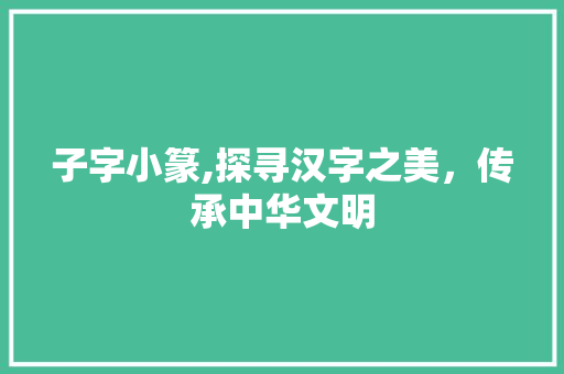 子字小篆,探寻汉字之美，传承中华文明