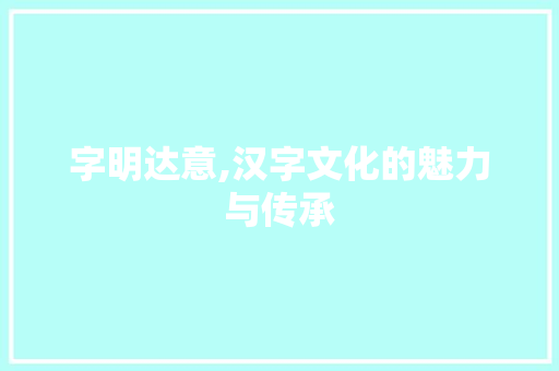 字明达意,汉字文化的魅力与传承