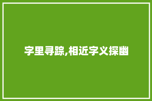 字里寻踪,相近字义探幽