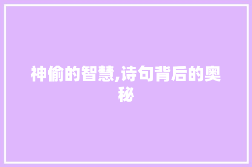 神偷的智慧,诗句背后的奥秘