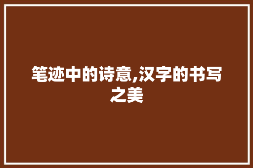 笔迹中的诗意,汉字的书写之美