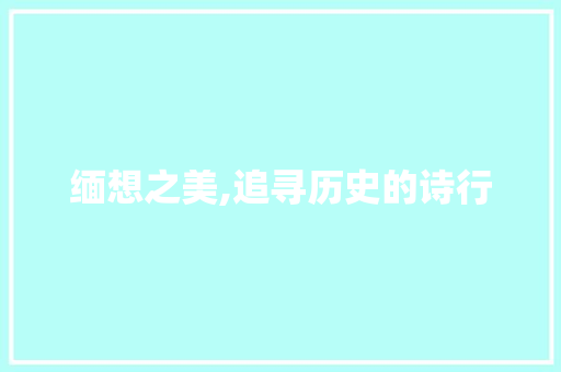 缅想之美,追寻历史的诗行