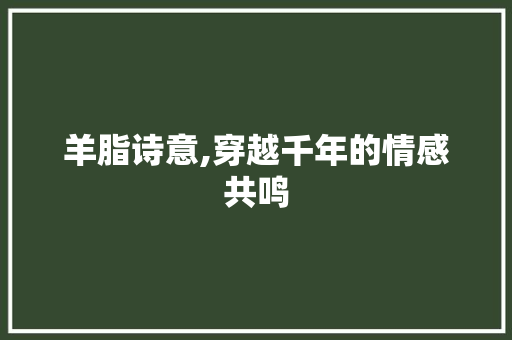羊脂诗意,穿越千年的情感共鸣 会议纪要