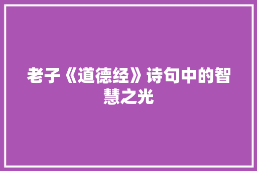 老子《道德经》诗句中的智慧之光