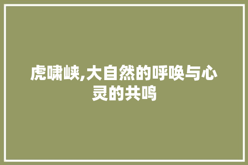 虎啸峡,大自然的呼唤与心灵的共鸣