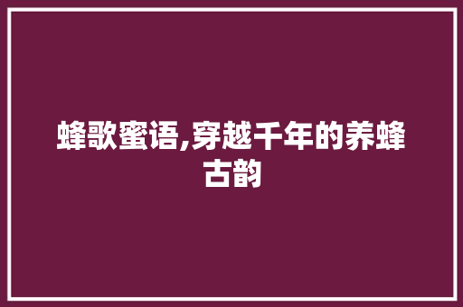 蜂歌蜜语,穿越千年的养蜂古韵