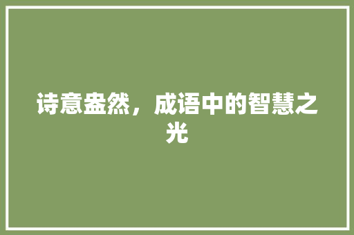 诗意盎然，成语中的智慧之光
