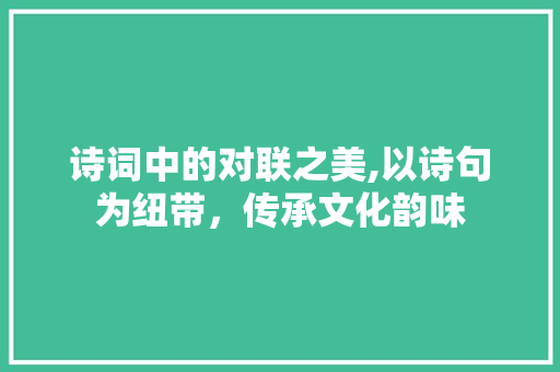 诗词中的对联之美,以诗句为纽带，传承文化韵味