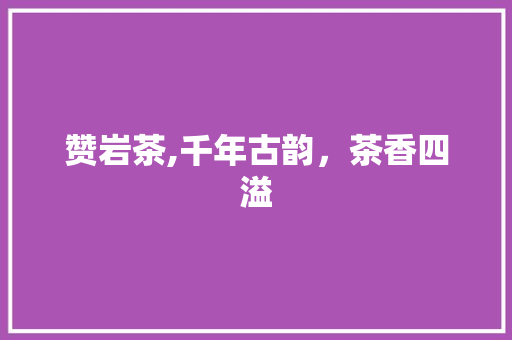 赞岩茶,千年古韵，茶香四溢