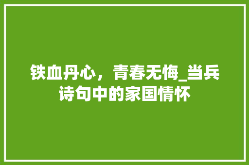 铁血丹心，青春无悔_当兵诗句中的家国情怀 工作总结