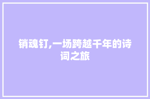 销魂钉,一场跨越千年的诗词之旅