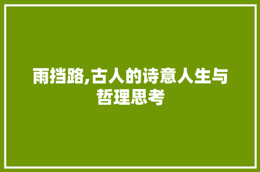 雨挡路,古人的诗意人生与哲理思考