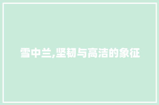 雪中兰,坚韧与高洁的象征