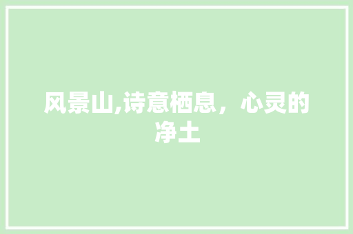 风景山,诗意栖息，心灵的净土