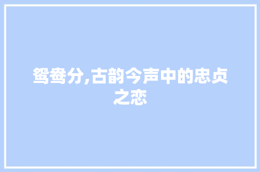 鸳鸯分,古韵今声中的忠贞之恋