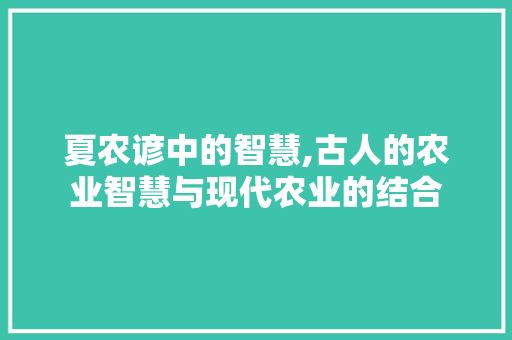 夏农谚中的智慧,古人的农业智慧与现代农业的结合