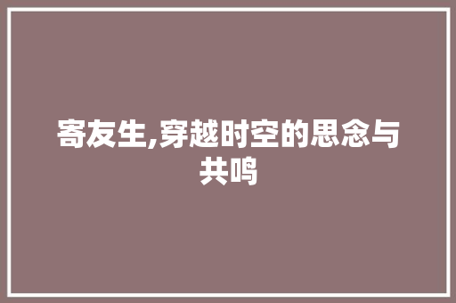 寄友生,穿越时空的思念与共鸣
