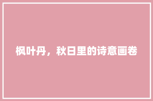 枫叶丹，秋日里的诗意画卷 诗词体裁