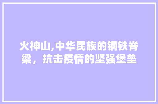 火神山,中华民族的钢铁脊梁，抗击疫情的坚强堡垒