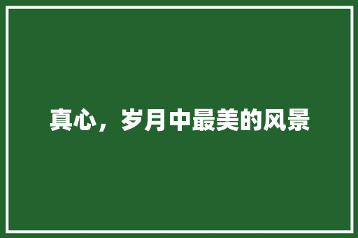真心，岁月中最美的风景