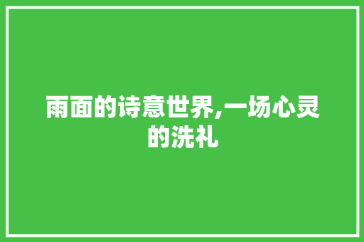 雨面的诗意世界,一场心灵的洗礼