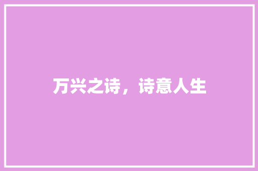 万兴之诗，诗意人生