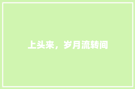 上头来，岁月流转间