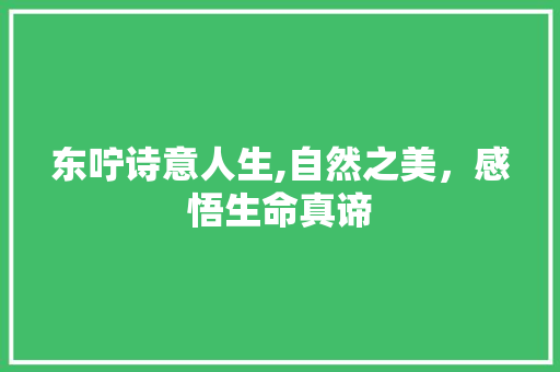 东咛诗意人生,自然之美，感悟生命真谛