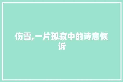 伤雪,一片孤寂中的诗意倾诉