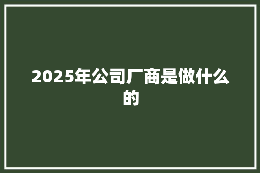 2025年公司厂商是做什么的