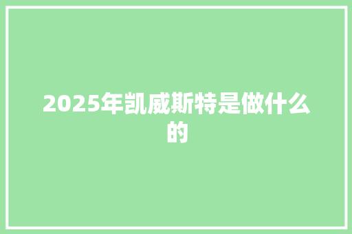 2025年凯威斯特是做什么的
