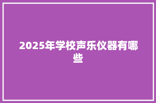 2025年学校声乐仪器有哪些
