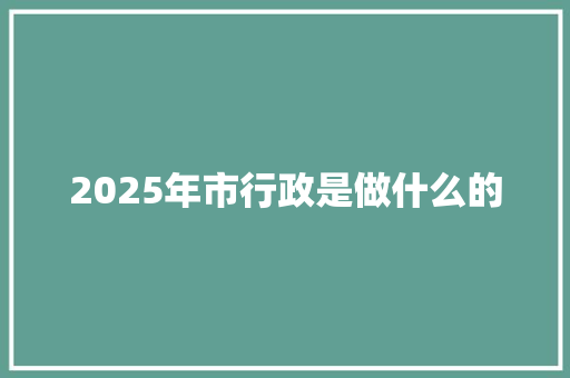 2025年市行政是做什么的