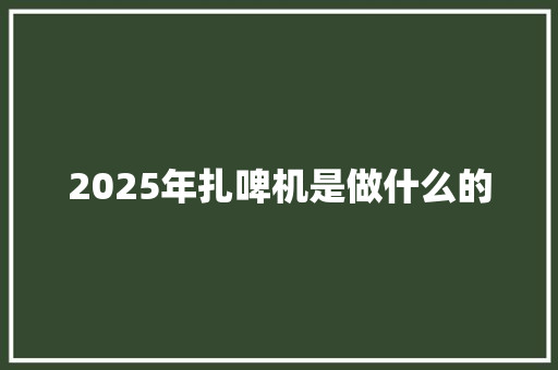 2025年扎啤机是做什么的 诗词应用
