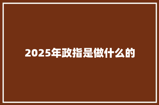 2025年政指是做什么的