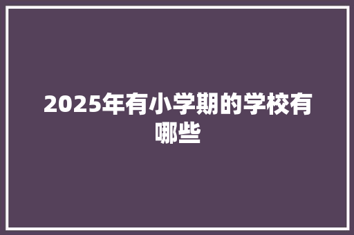 2025年有小学期的学校有哪些