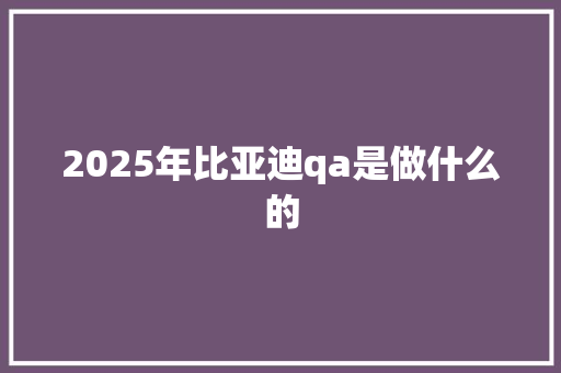 2025年比亚迪qa是做什么的