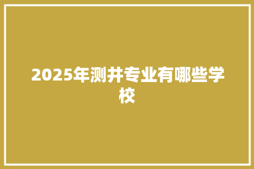 2025年测井专业有哪些学校
