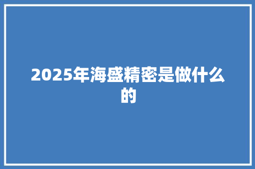 2025年海盛精密是做什么的