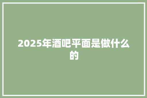 2025年酒吧平面是做什么的