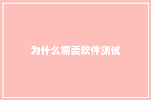 为什么需要软件测试 会议纪要