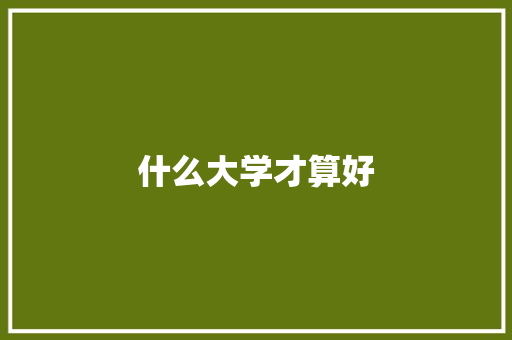 什么大学才算好