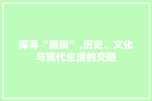探寻“黑斑”,历史、文化与现代生活的交融