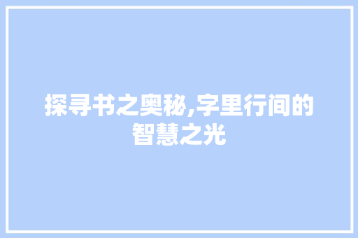 探寻书之奥秘,字里行间的智慧之光