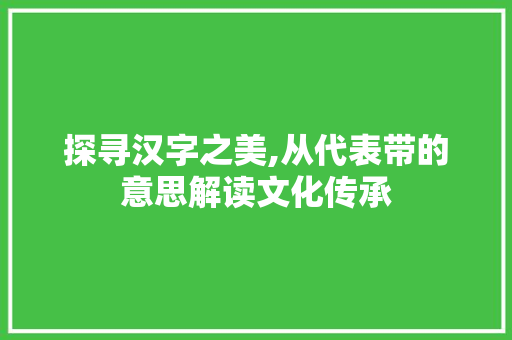探寻汉字之美,从代表带的意思解读文化传承