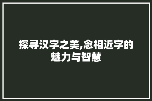 探寻汉字之美,念相近字的魅力与智慧