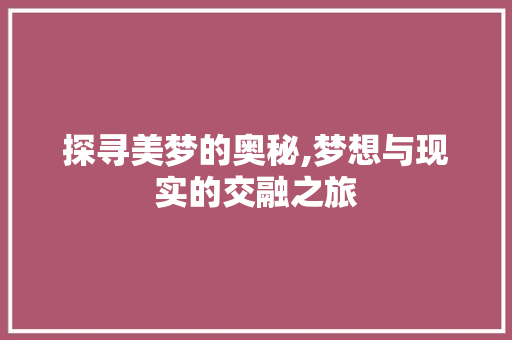 探寻美梦的奥秘,梦想与现实的交融之旅 社交媒体