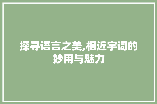探寻语言之美,相近字词的妙用与魅力