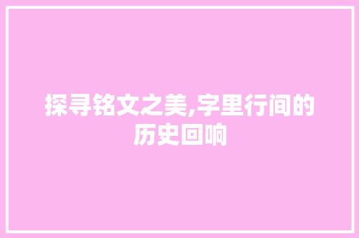 探寻铭文之美,字里行间的历史回响