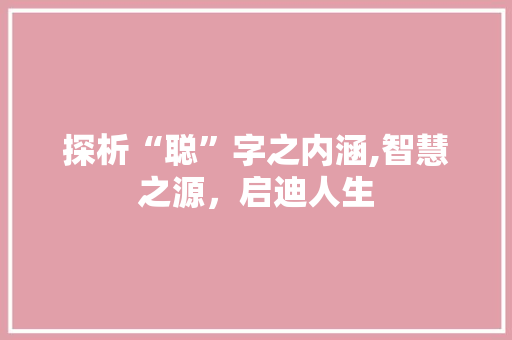探析“聪”字之内涵,智慧之源，启迪人生 会议纪要